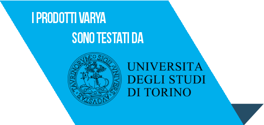 University of Turin